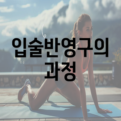 입술반영구의 과정