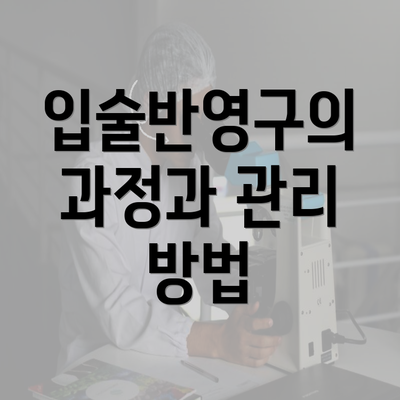 입술반영구의 과정과 관리 방법