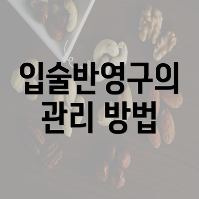 입술반영구의 관리 방법