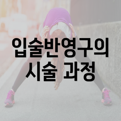 입술반영구의 시술 과정