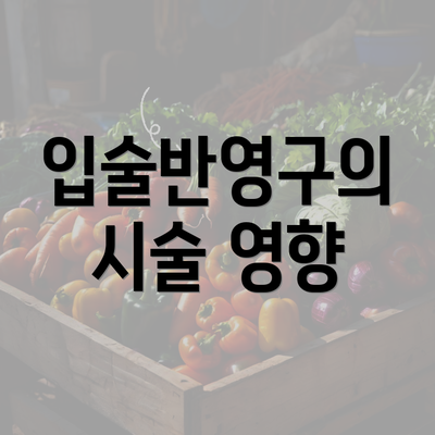 입술반영구의 시술 영향