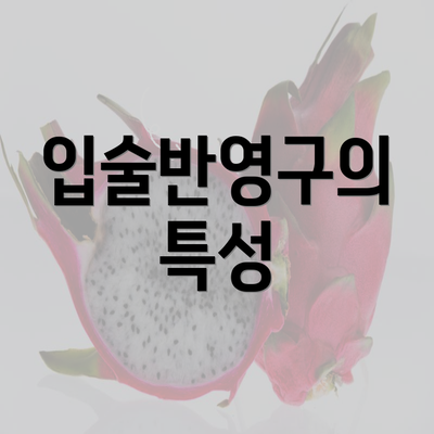 입술반영구의 특성