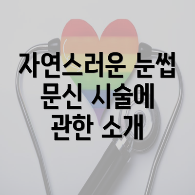 자연스러운 눈썹 문신 시술에 관한 소개