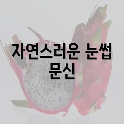 자연스러운 눈썹 문신