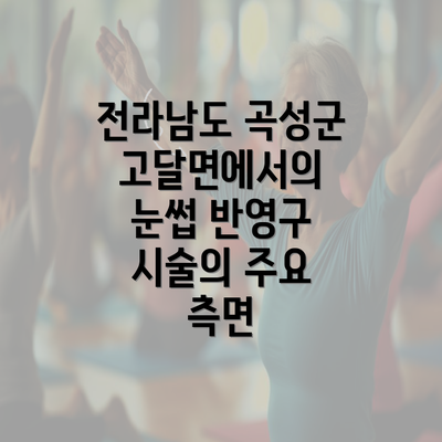 전라남도 곡성군 고달면에서의 눈썹 반영구 시술의 주요 측면