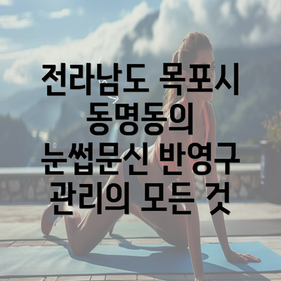 전라남도 목포시 동명동의 눈썹문신 반영구 관리의 모든 것