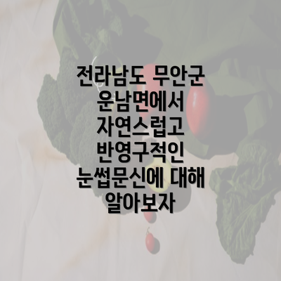 전라남도 무안군 운남면에서 자연스럽고 반영구적인 눈썹문신에 대해 알아보자