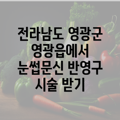 전라남도 영광군 영광읍에서 눈썹문신 반영구 시술 받기