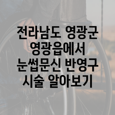 전라남도 영광군 영광읍에서 눈썹문신 반영구 시술 알아보기