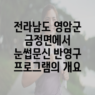 전라남도 영암군 금정면에서 눈썹문신 반영구 프로그램의 개요