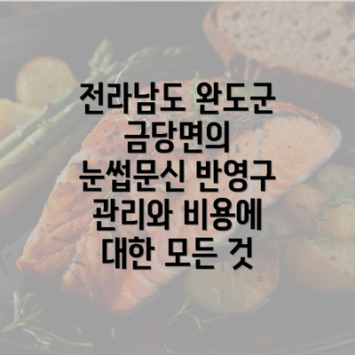 전라남도 완도군 금당면의 눈썹문신 반영구 관리와 비용에 대한 모든 것