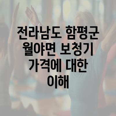 전라남도 함평군 월야면 보청기 가격에 대한 이해