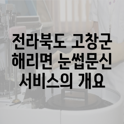 전라북도 고창군 해리면 눈썹문신 서비스의 개요