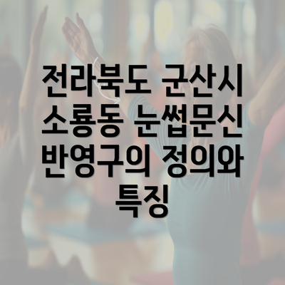 전라북도 군산시 소룡동 눈썹문신 반영구의 정의와 특징