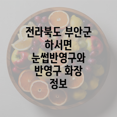 전라북도 부안군 하서면 눈썹반영구와 반영구 화장 정보