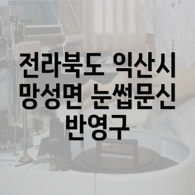 전라북도 익산시 망성면 눈썹문신 반영구