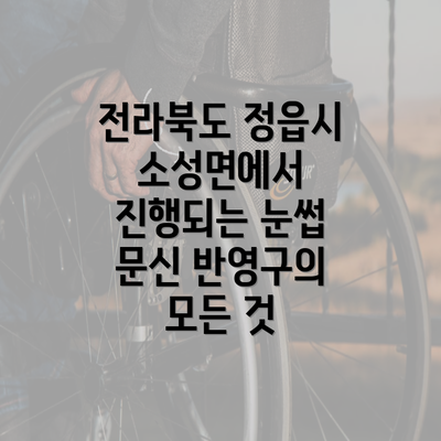 전라북도 정읍시 소성면에서 진행되는 눈썹 문신 반영구의 모든 것