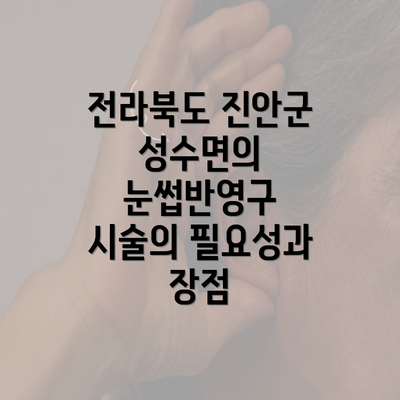 전라북도 진안군 성수면의 눈썹반영구 시술의 필요성과 장점