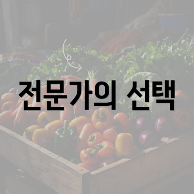 전문가의 선택