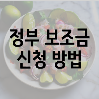 정부 보조금 신청 방법