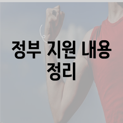 정부 지원 내용 정리