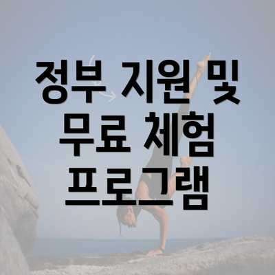 정부 지원 및 무료 체험 프로그램