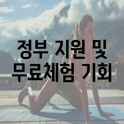 정부 지원 및 무료체험 기회