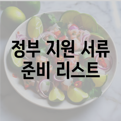 정부 지원 서류 준비 리스트