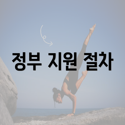 정부 지원 절차