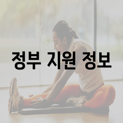 정부 지원 정보