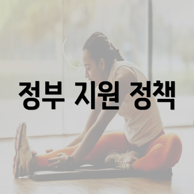 정부 지원 정책