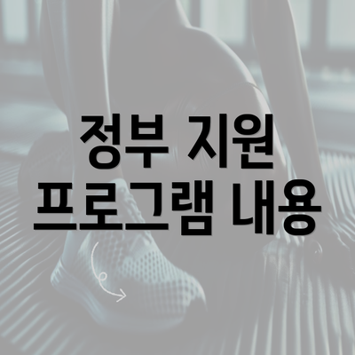 정부 지원 프로그램 내용