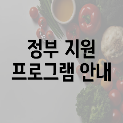 정부 지원 프로그램 안내