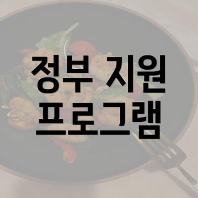 정부 지원 프로그램