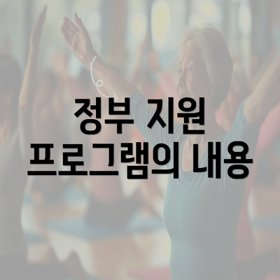 정부 지원 프로그램의 내용