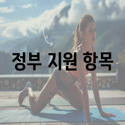 정부 지원 항목