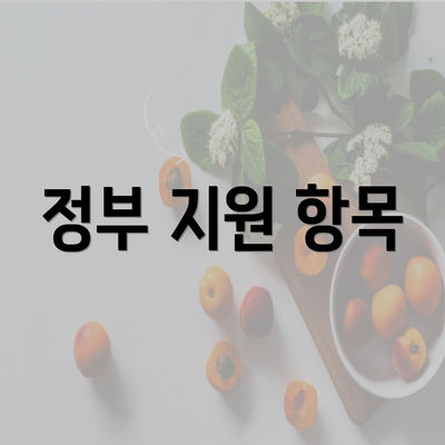 정부 지원 항목