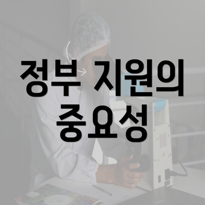 정부 지원의 중요성