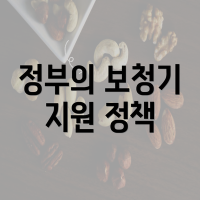 정부의 보청기 지원 정책