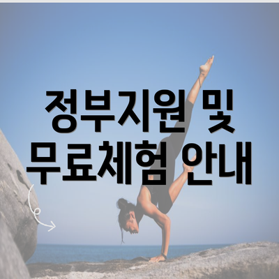 정부지원 및 무료체험 안내