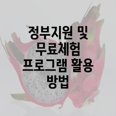 정부지원 및 무료체험 프로그램 활용 방법