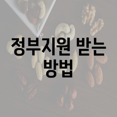 정부지원 받는 방법