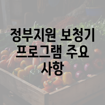 정부지원 보청기 프로그램 주요 사항