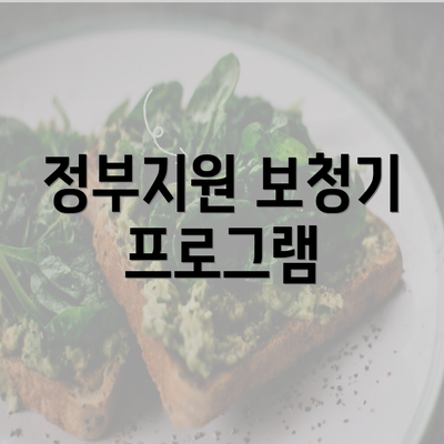 정부지원 보청기 프로그램