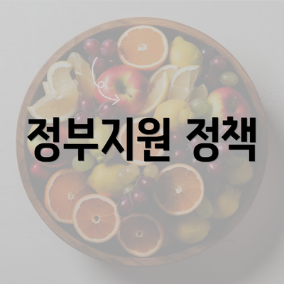 정부지원 정책