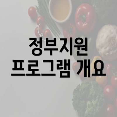 정부지원 프로그램 개요