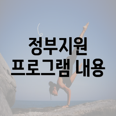 정부지원 프로그램 내용