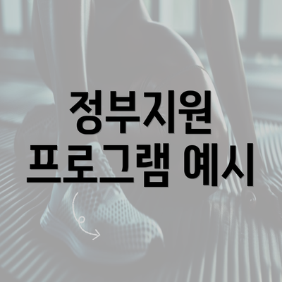 정부지원 프로그램 예시