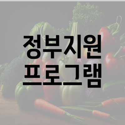 정부지원 프로그램