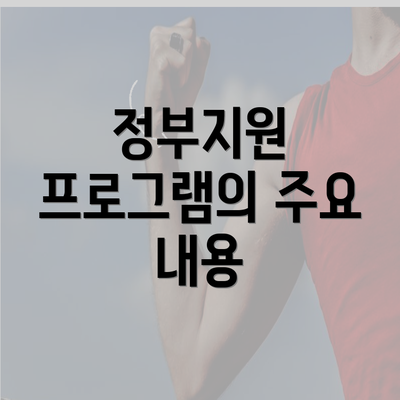 정부지원 프로그램의 주요 내용